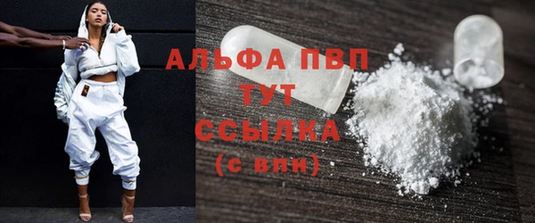 стаф Беломорск