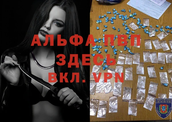 стаф Беломорск